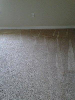 White Sands Carpet Cleaning