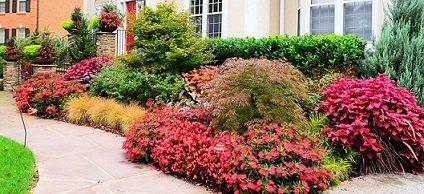 Garden Concepts of Nashville