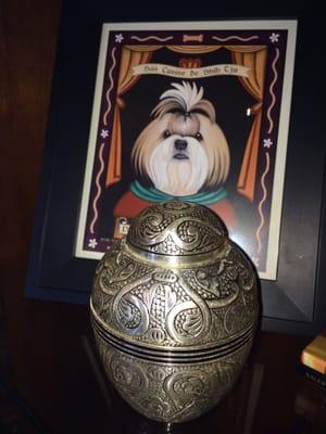 Gorgeous urn from Pet Traditions