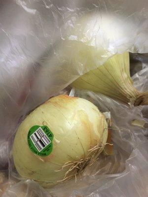 Walla Walla Sweet Onions