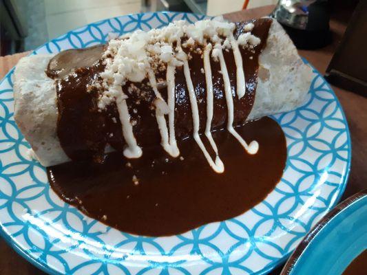 Mole chicken Medium burrito