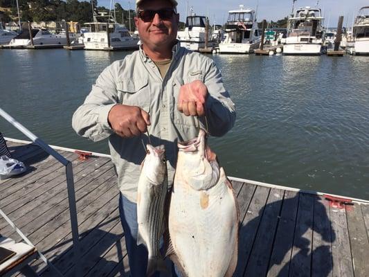 Halibut and striper before going under the knife