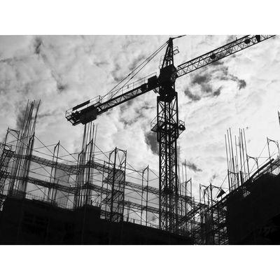 Cobra Hose and Fittings