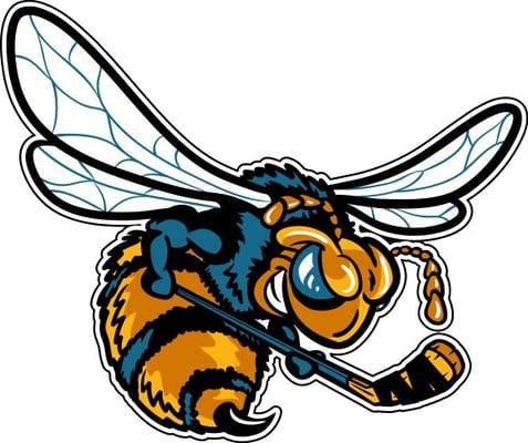 Rio Grande Valley Killer Bees