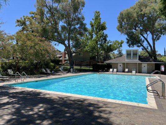 Mariela's Swimming Lessons