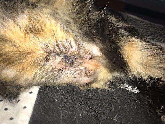 Here is the handy work