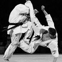 Dallas Kyokushin Karate