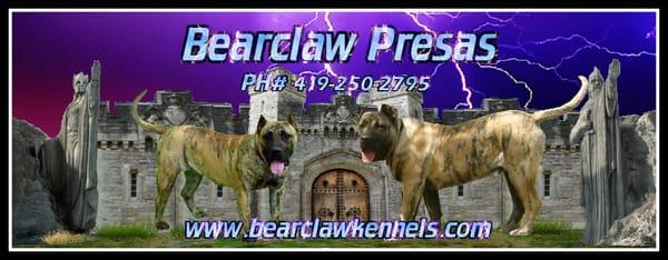 Bearclaw Kennels