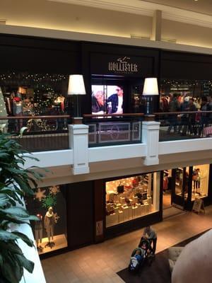 Hollister