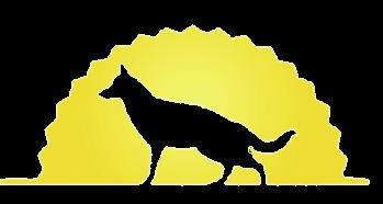 Conway Canine Companions