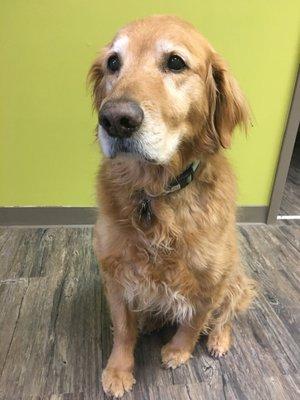 Matthew T Taylor DVM