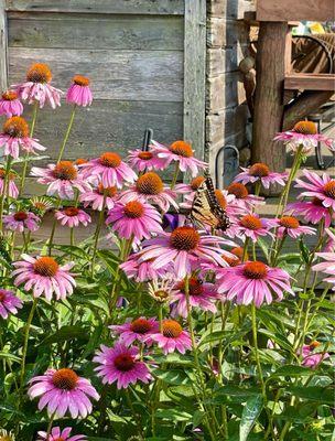 EarthCraft Landscaping