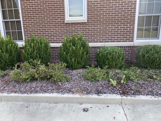 O & TC Lawn Care Service