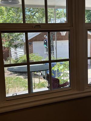 Econo-Pest Extermination Co