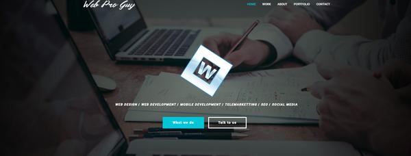 Web Pro Guy