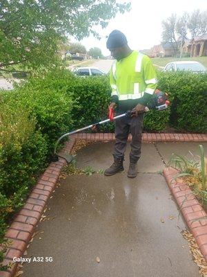 Markino & Associates Tree and Lawn Care Experts