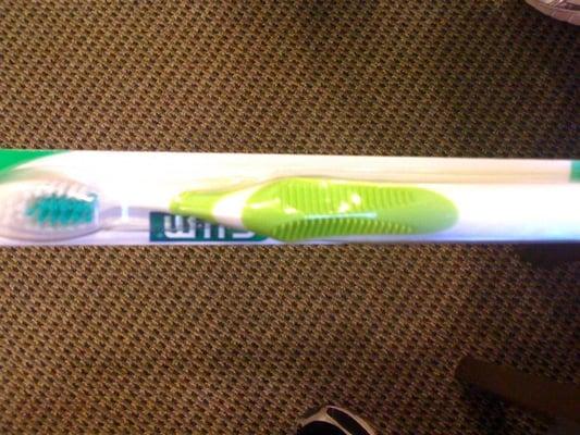 Merrihew John Gauer DMD