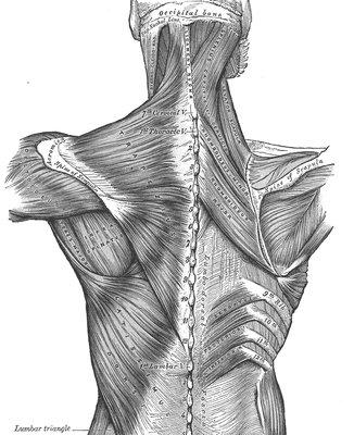 Abilene Massage Therapy