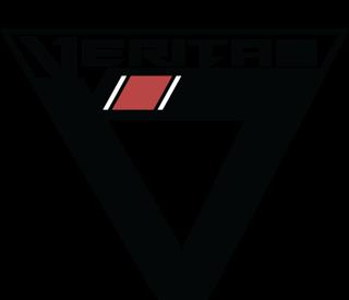 Veritas Mixed Martial Arts