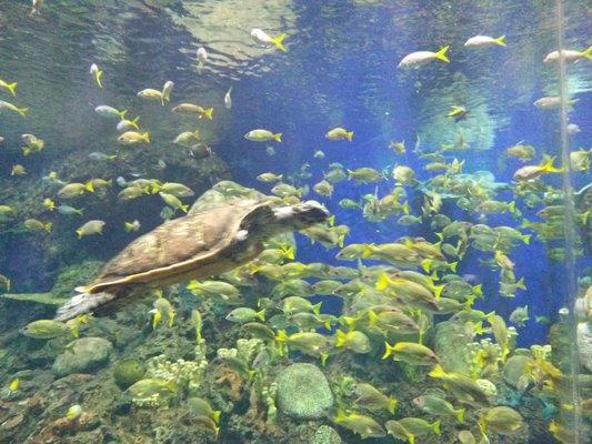 Life is as beautiful as you make it!!!