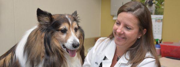 Animal Hospital in Bristow IA