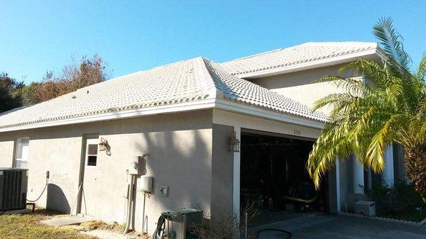 Pressure Clean Plus Roof Cleaning