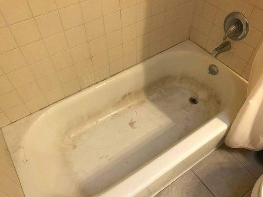 Top 10 Best Professional House Cleaners near Birdland, San Diego, CA Top 10 Best Professional House Cleaners in Coronado, CA