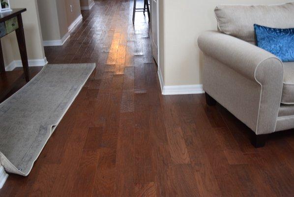 D N A Floor Surgeons