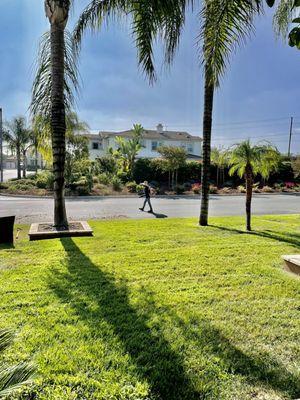 Springwood Landscaping