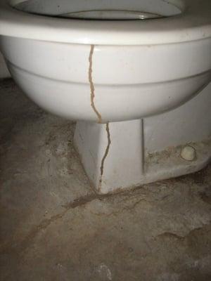 There is no place safe from termites