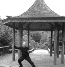 Integral Way Tai Chi