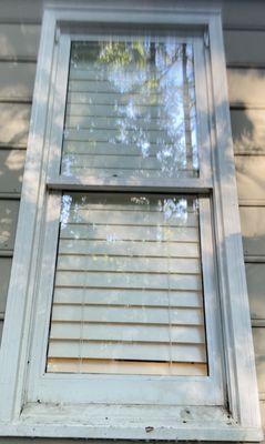 Fine Shine Window Washing