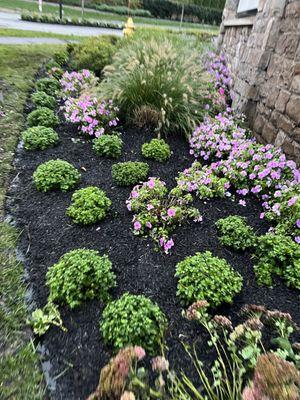 Green Landscaping & Construction