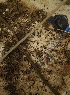 Hartman Duane Investments