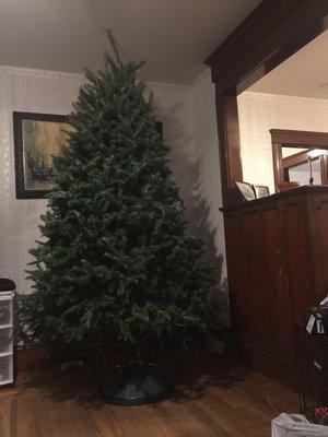 Brothers Gas has the nicest Christmas trees for sale!!! Top notch!