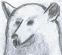 Yellow Bear Journeys