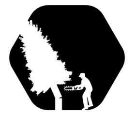 Smyth Bros Tree Removal