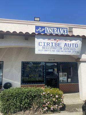 Ciribe Insurance