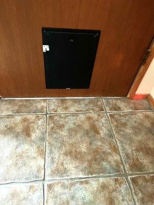 Hale Security Pet Door