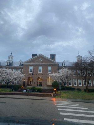 Matthew Whaley Primary School