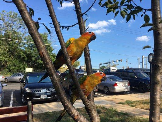 John Kihun Kim, MD - International Natura