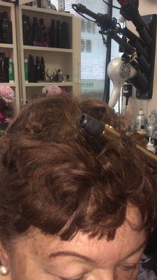 Designer Salon-Sandy Deshazer