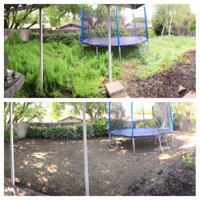 B G Landscape and Full Yard Maintenance