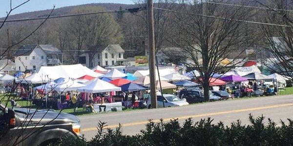 Candor Daffodil Festival