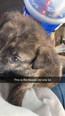 Jen’s Babysitting and others