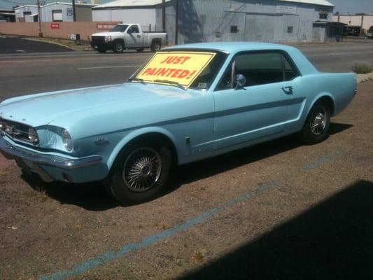 Earl Scheib Paint & Body