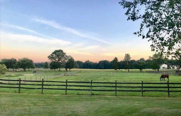 Three Diamonds Stable