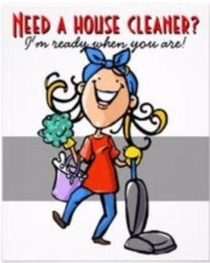 Cleaning Lady Paulina