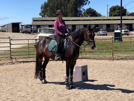 Business owner on her 3 year old horse