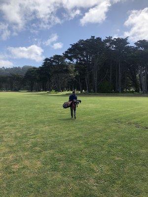 myself and a fellow Tom Johnson student played Sharp Park and both hit personal bests recently.